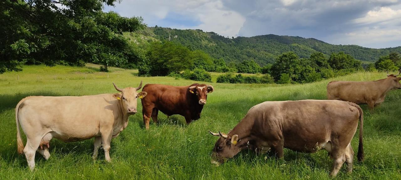 فيلا Tourist Farm Pri Andrejevih Narin المظهر الخارجي الصورة